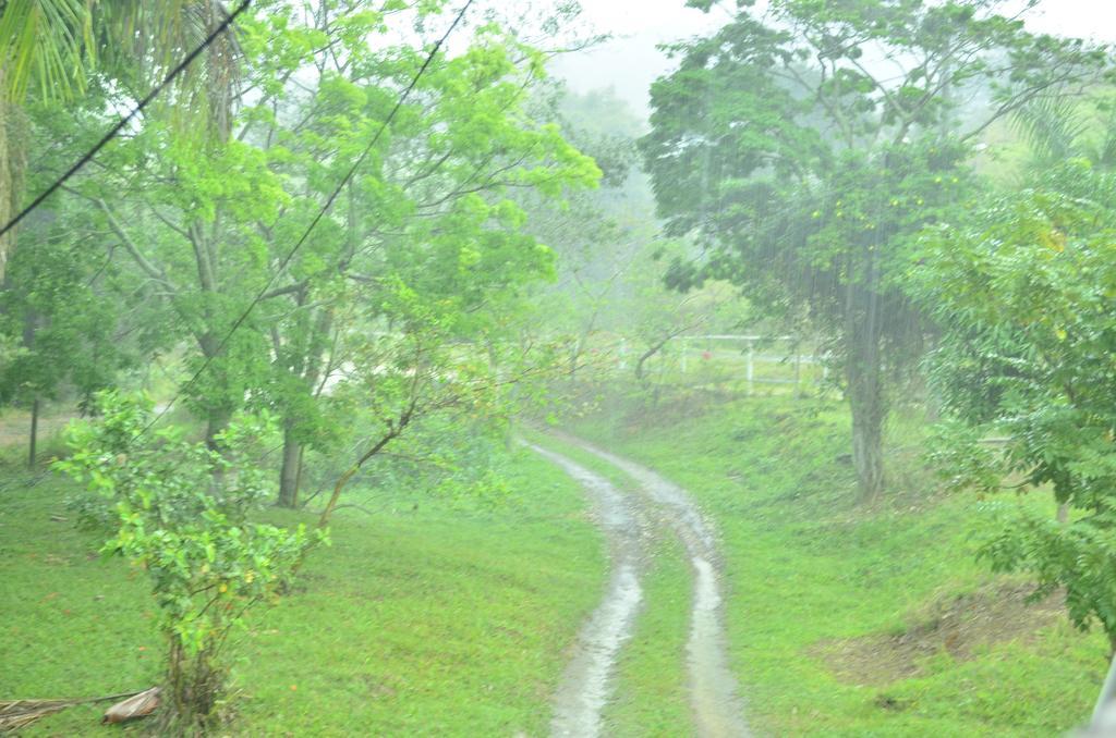 Pousada Rancho Da Mata Conservatória 外观 照片